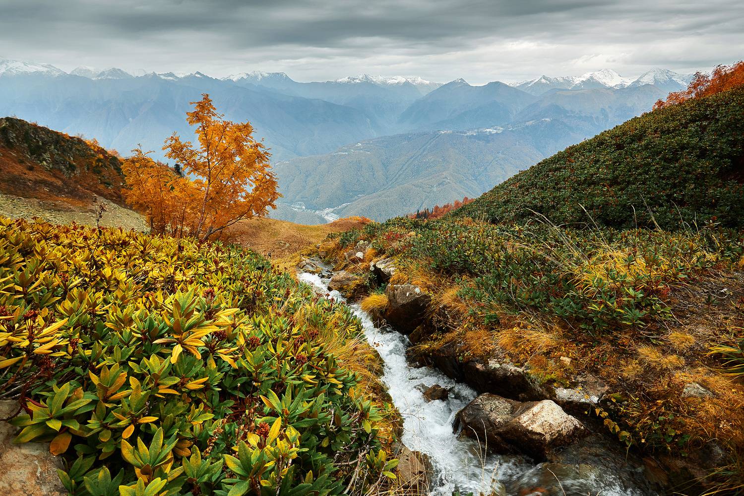 , Илья Лисаускас