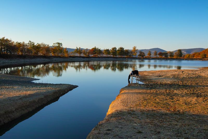 ***** фото превью