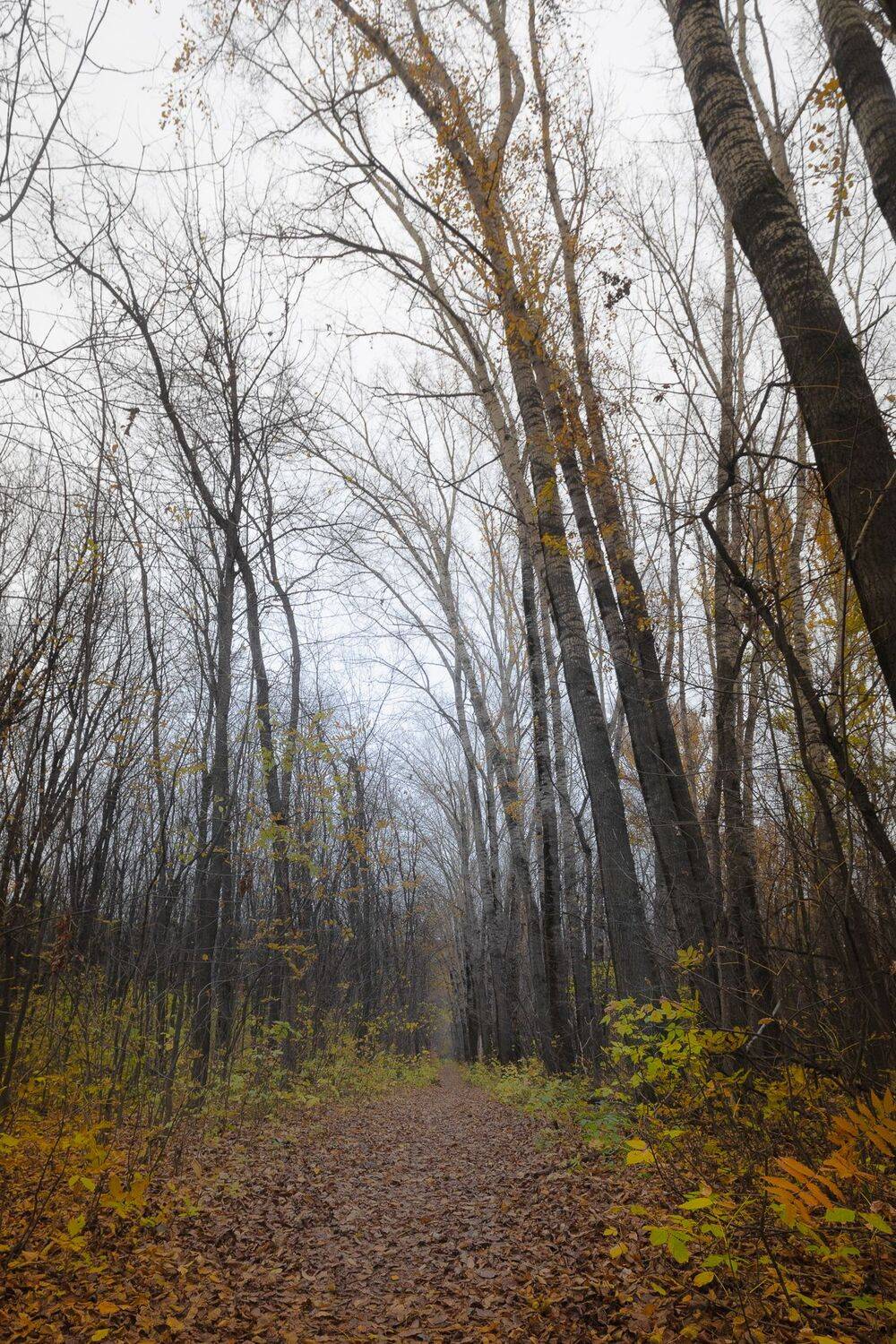 , Гильманов Артур