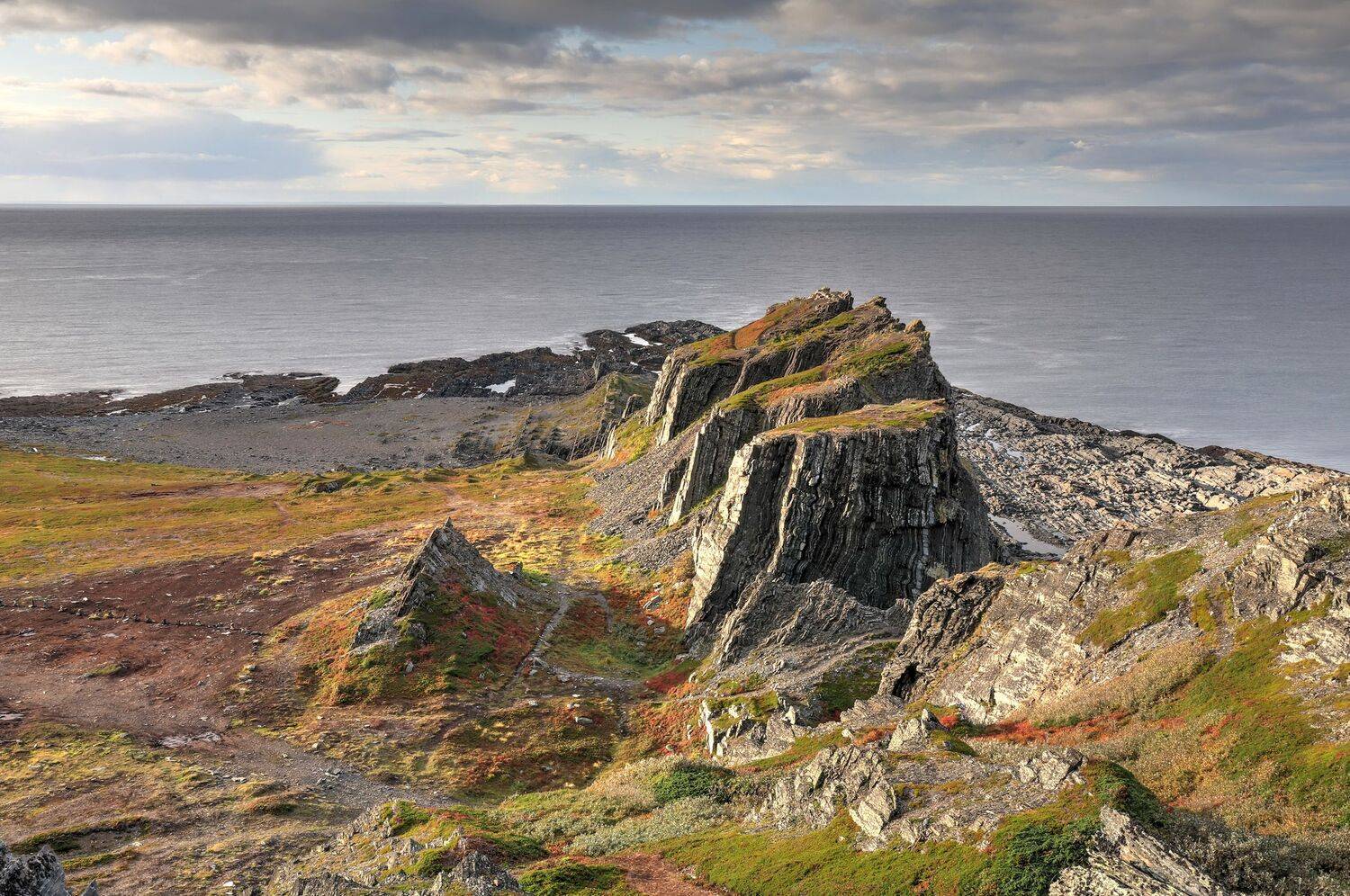 , Добролюбова Тамара