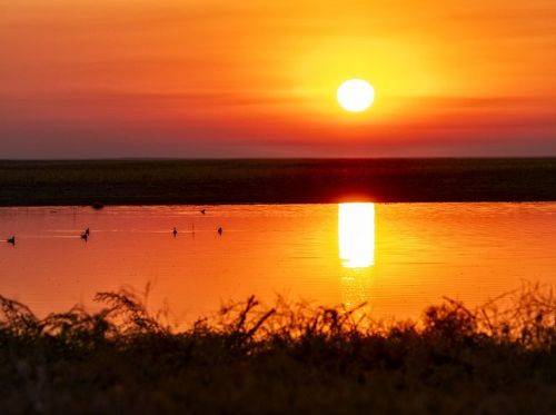 Ждем сайгаков на водопой....