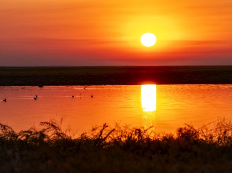 восход солнца заказник Ждем сайгаков на водопой.... фото превью