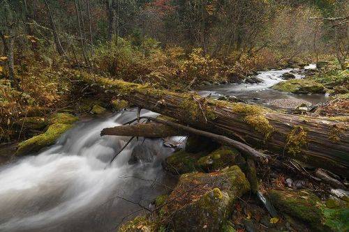 Поздняя осень в Саянах