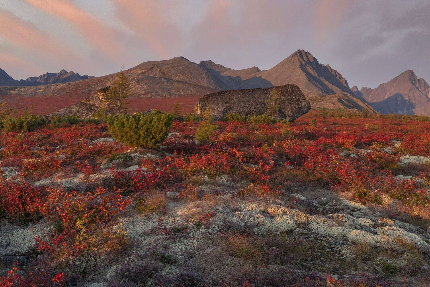 Фототуры с Владимиром Рябковым, #topnature #russpasibo #magic_shots #lovelyRussia #sunset_vision #exclusive_sky  #exclusive_shots #loves_russia2 #photoarena_nature #nature_sultans #nature_perfection #rsa_sky #rsa_sunset #photorussia #rsa_naturepics #sunse, Владимир Рябков