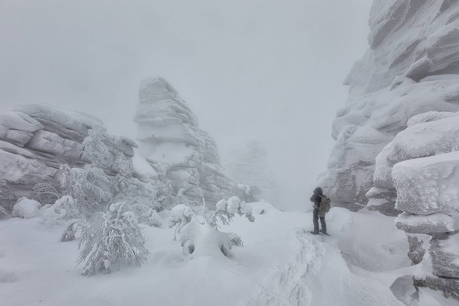 , Константин Маланин