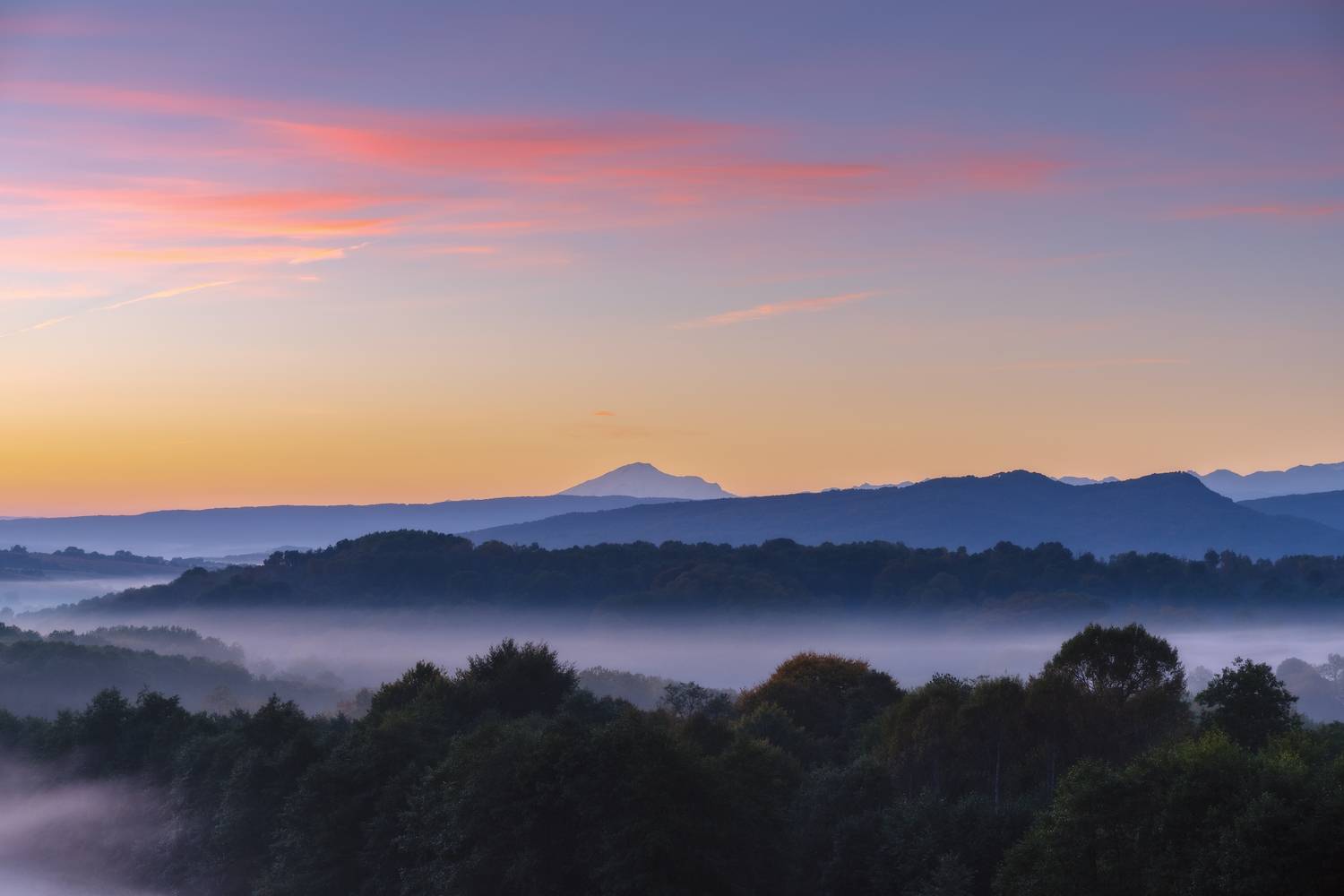 , Юлия Мальцева