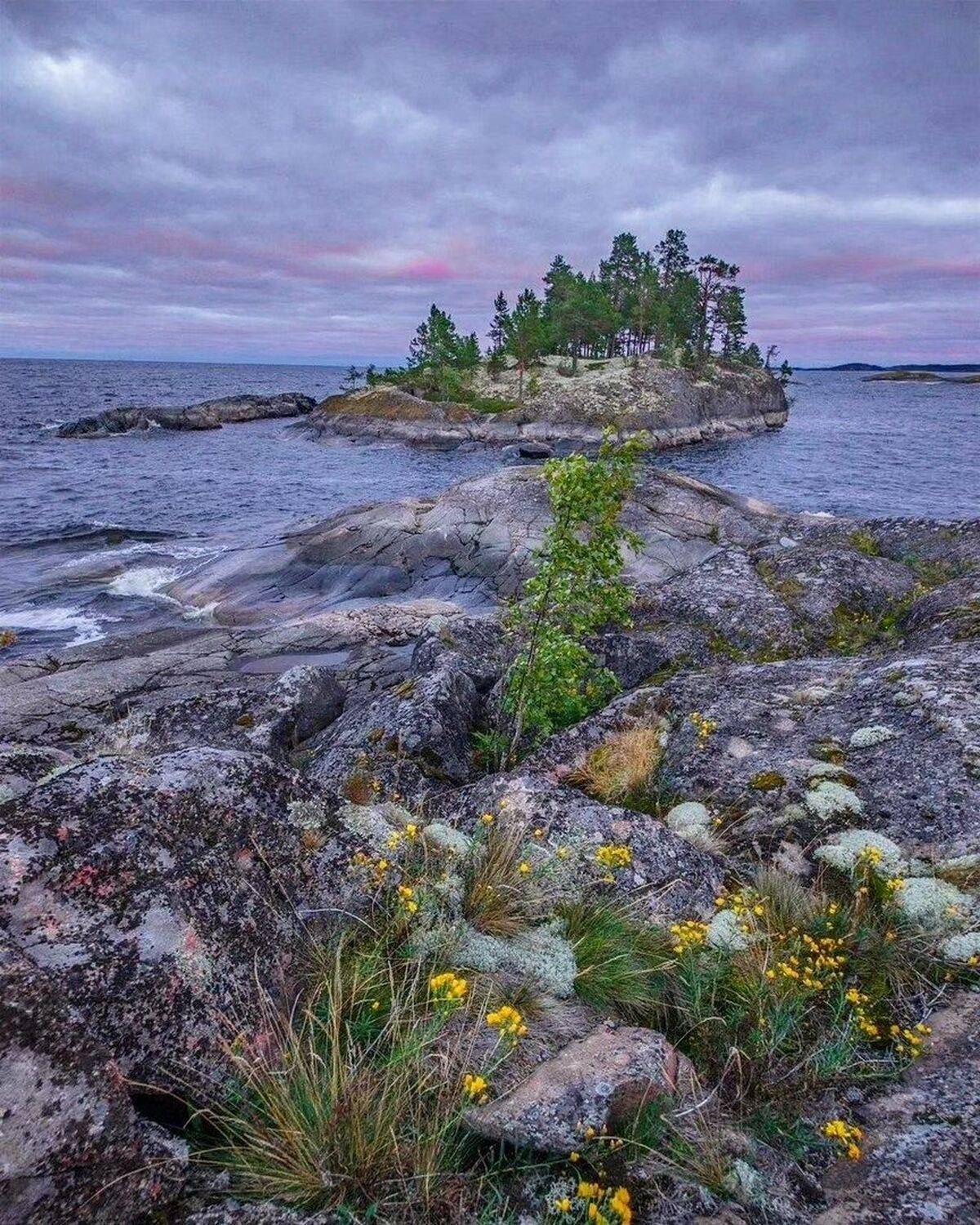 , Петр Косых