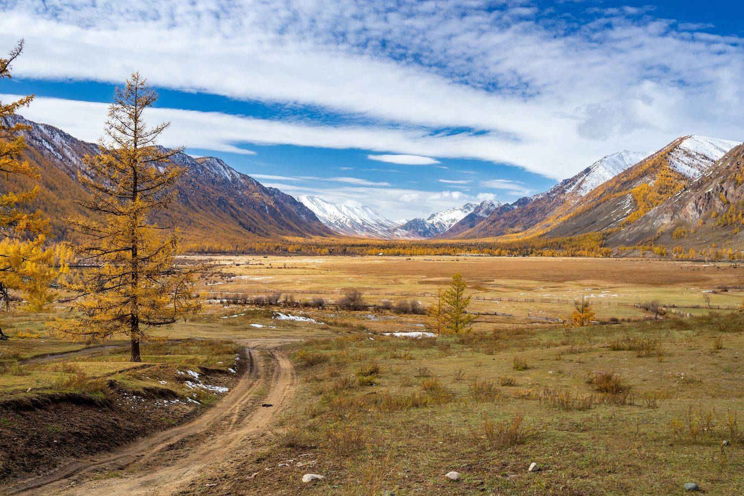 , Буянов Илья