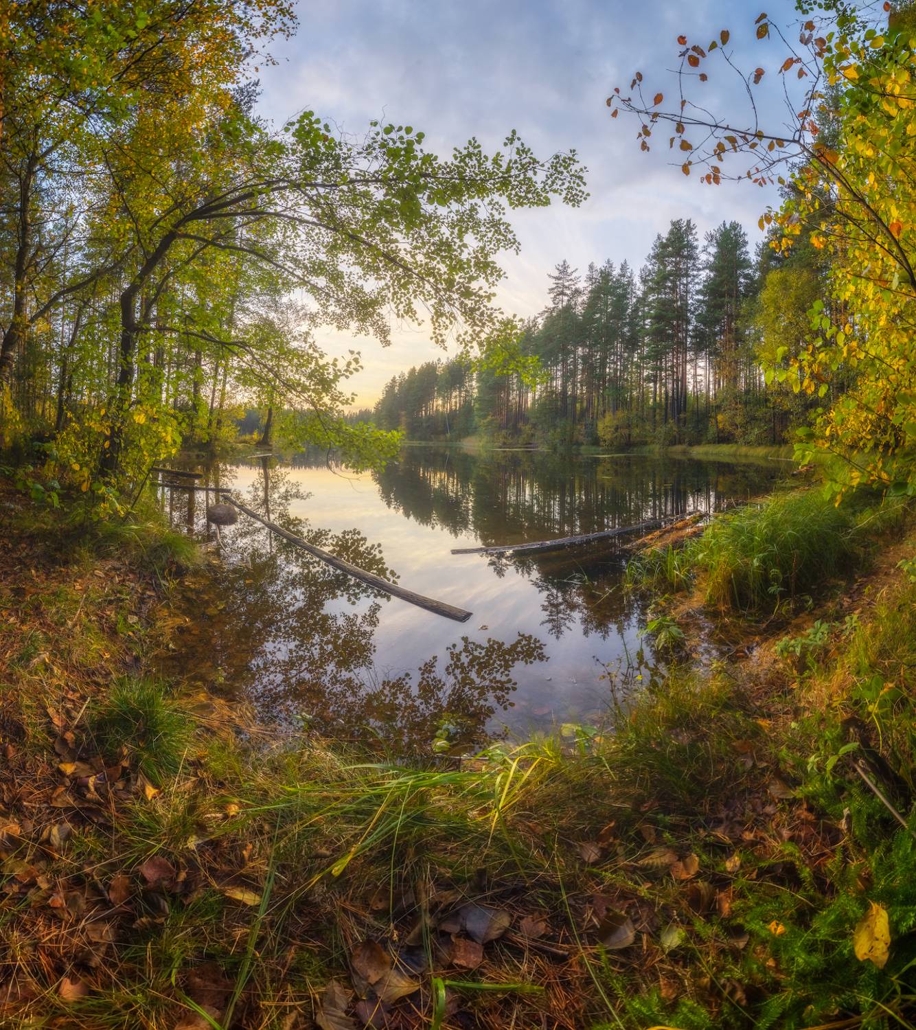 ленобласть, осень, закат, Марголин Алексей