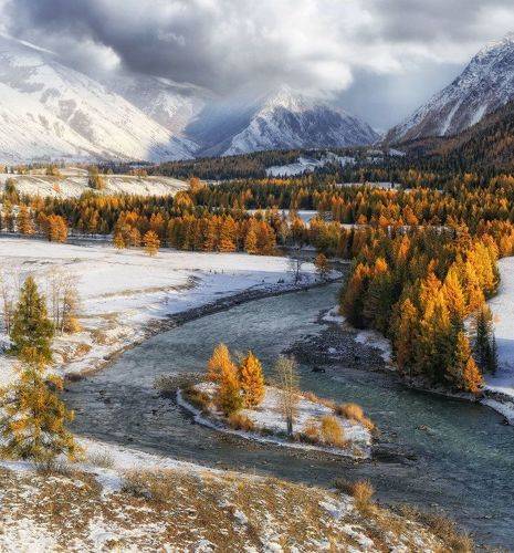 Чуя. Первоснежье.