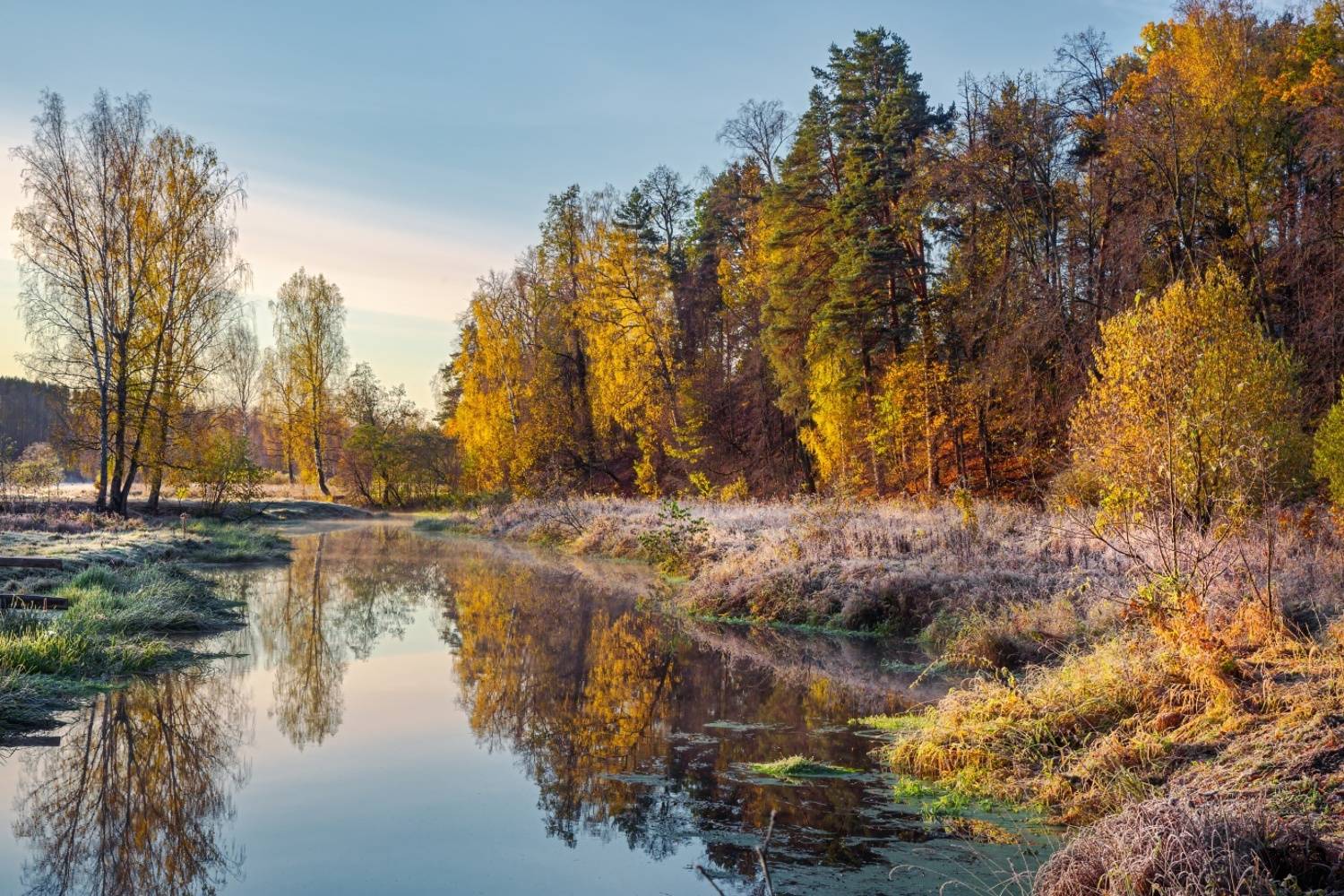 , Евгений Ерохин