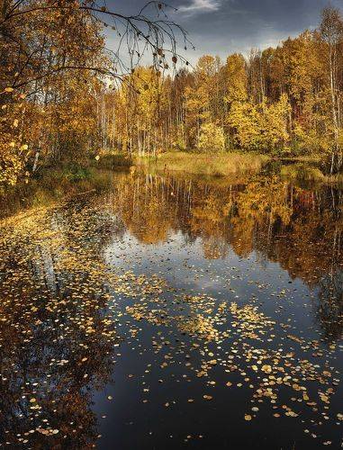 Время листопада