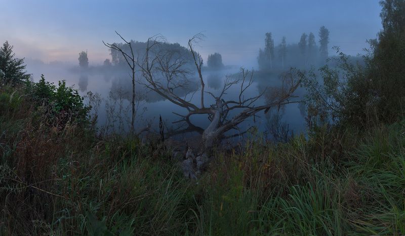 ... фото превью
