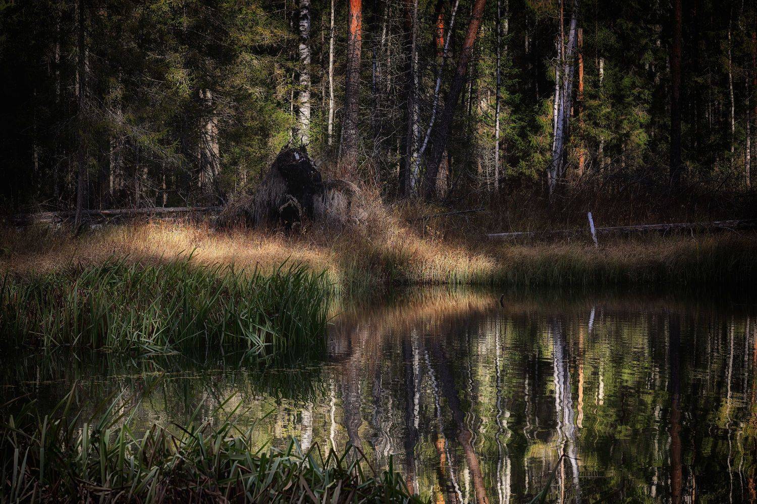 , Павел Мартюшев