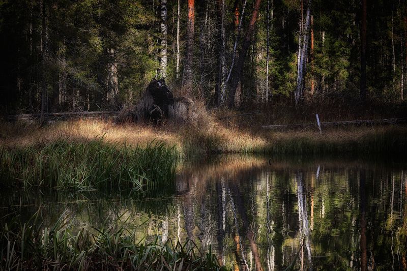 Чудище лесное фото превью