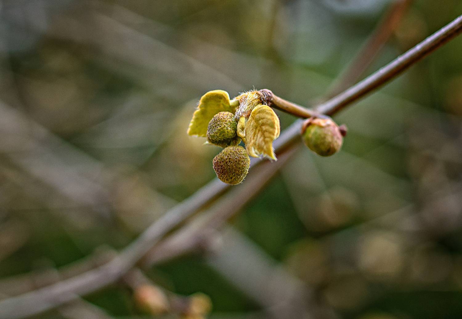 , Владимир Гамаюнов