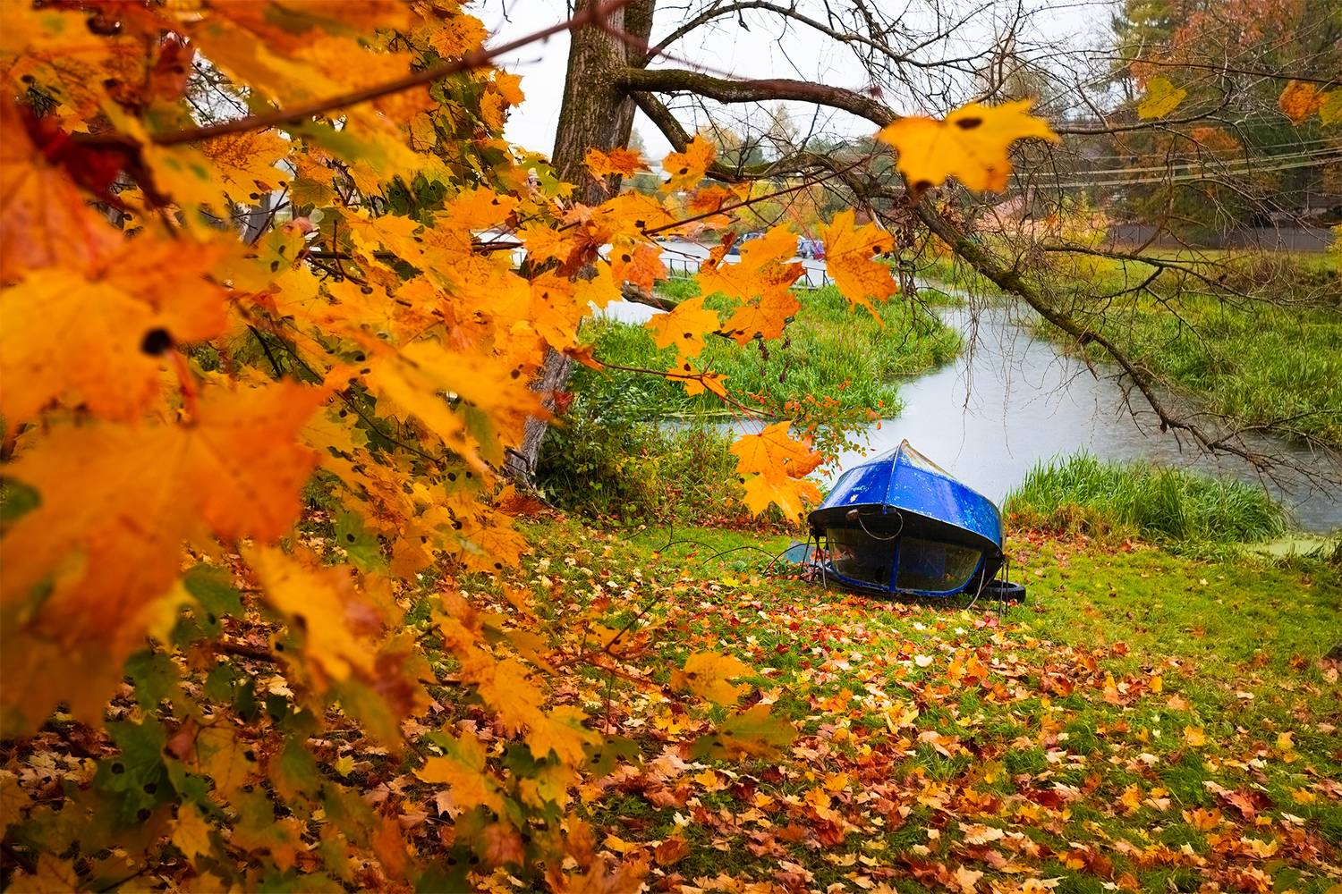 , Чудинин Дмитрий