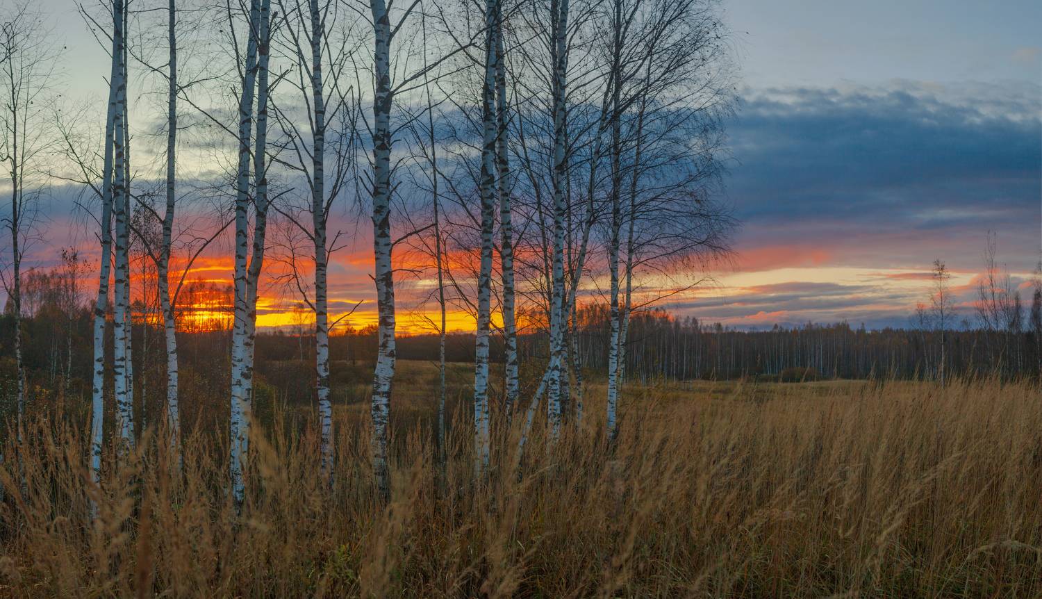 закат, осень, Александр Свистков