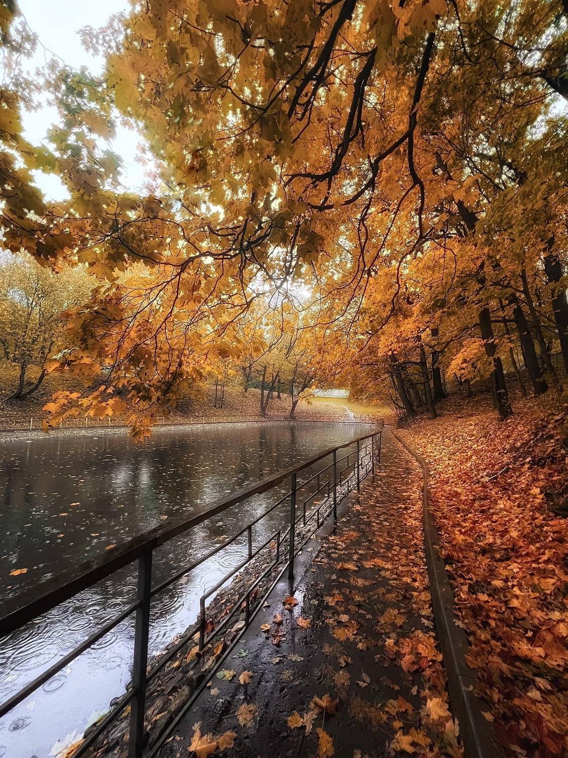 , Екатерина