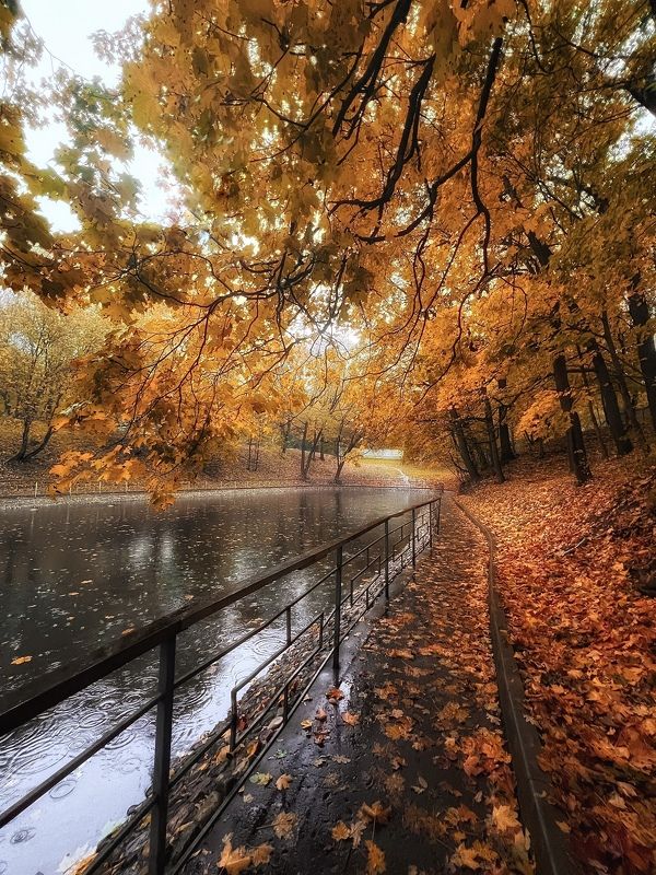 Дождливая осень фото превью