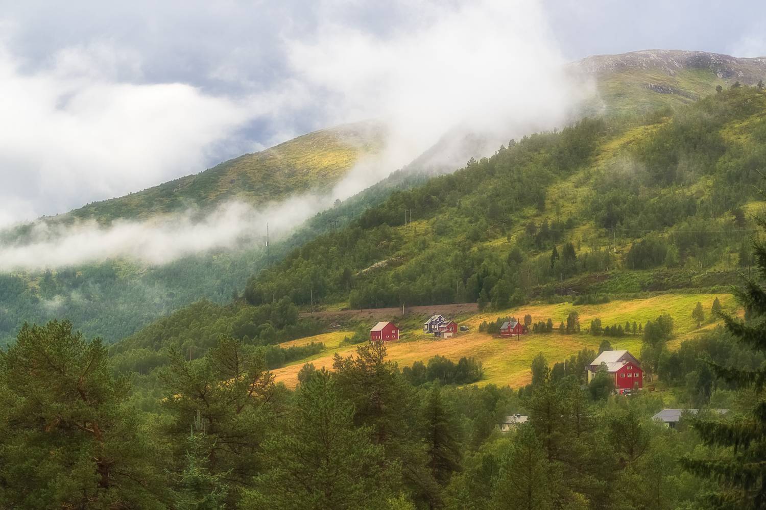 природа,пейзаж,, Лариса Дука