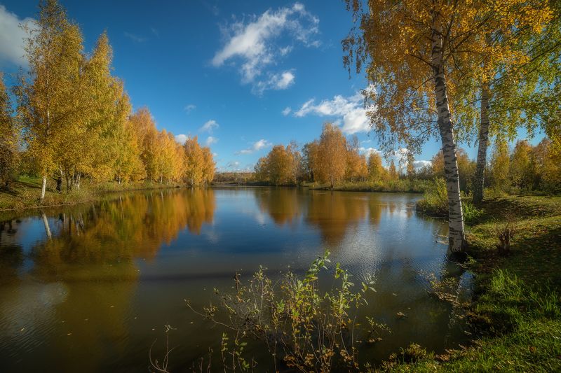 Золотая осень фото превью