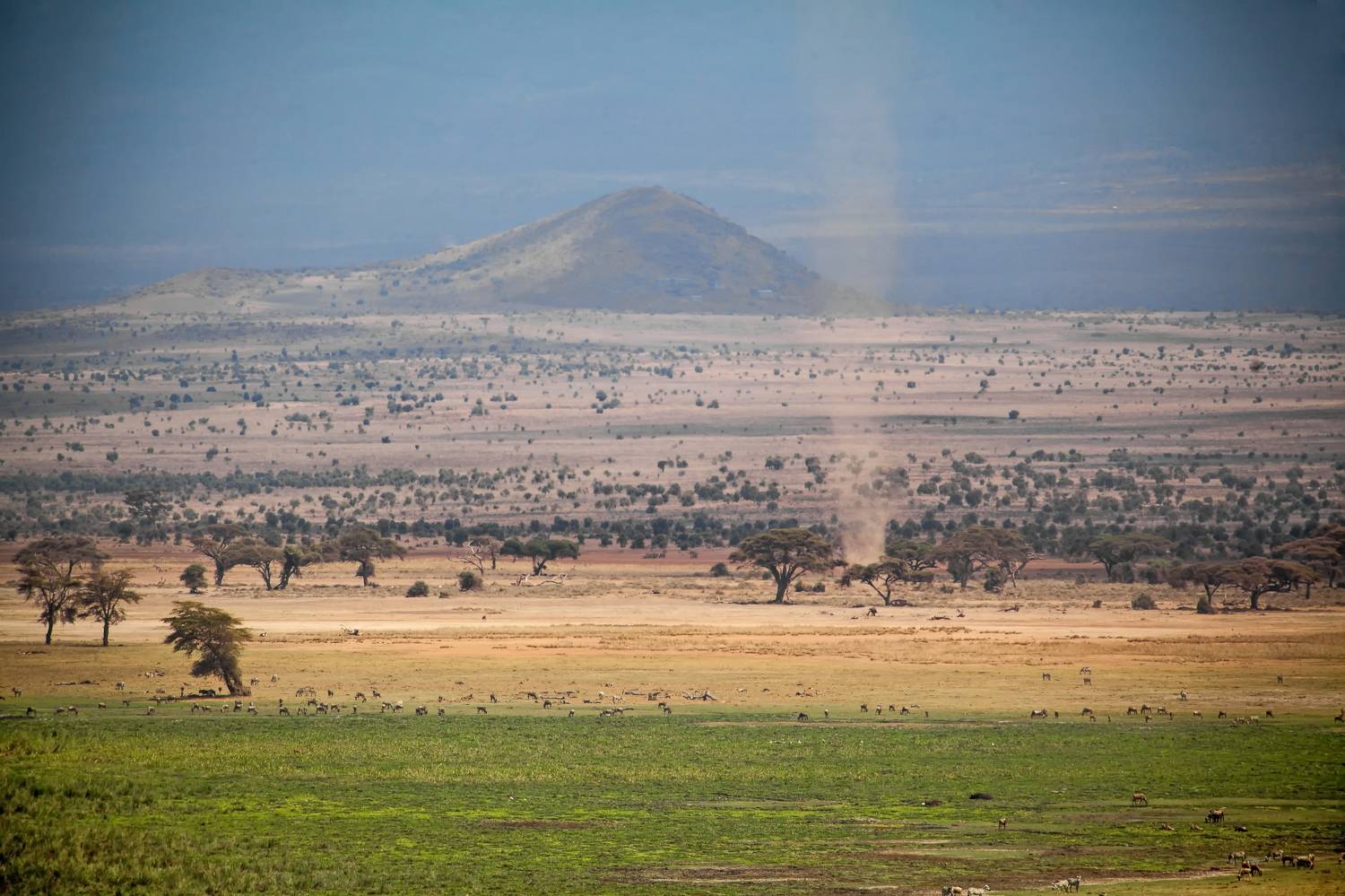 Кения Амбосели, Lilia Tkachenko