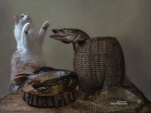 По щучьему велению