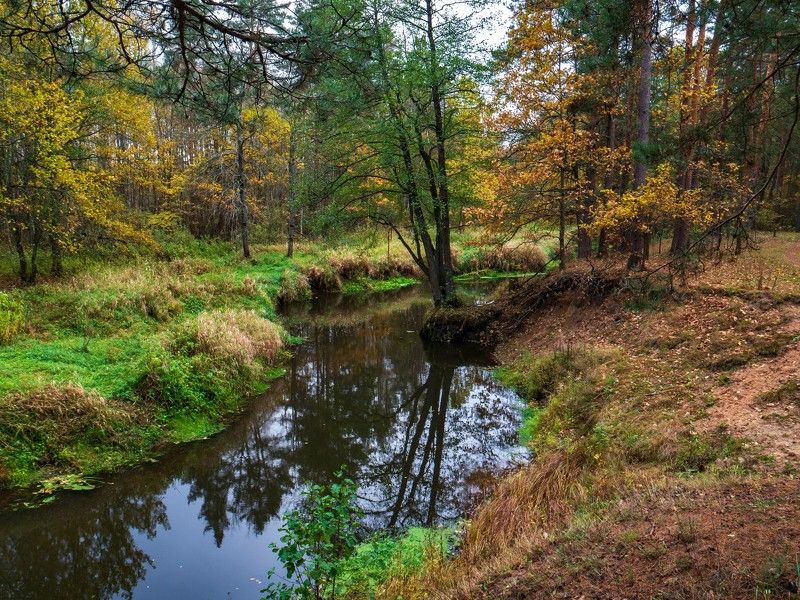 Осенняя элегия фото превью