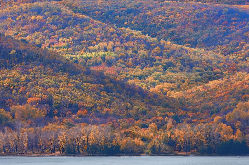 осень, осенние краски Осени ярких красок палитра фото превью