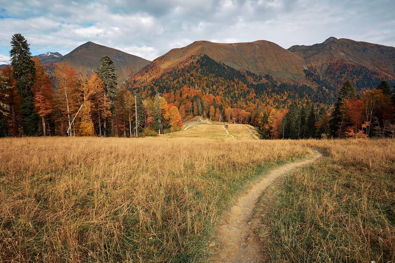 , Илья Лисаускас