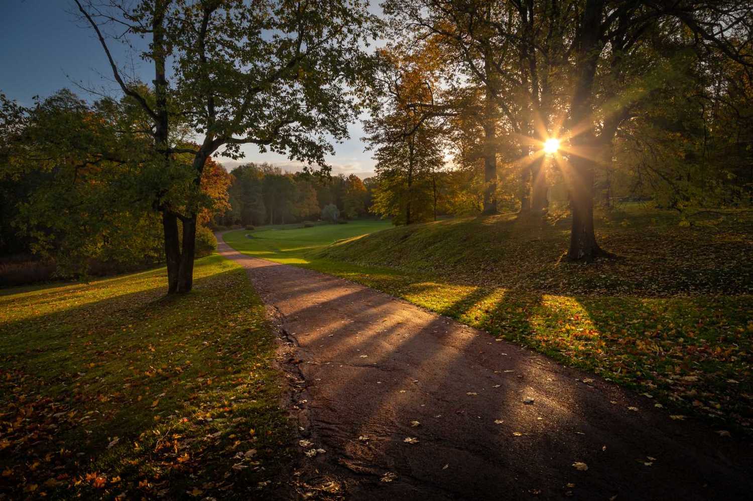 , Вячеслав Мельников