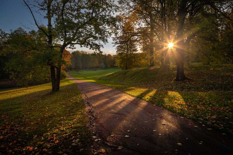 Утро в парке фото превью