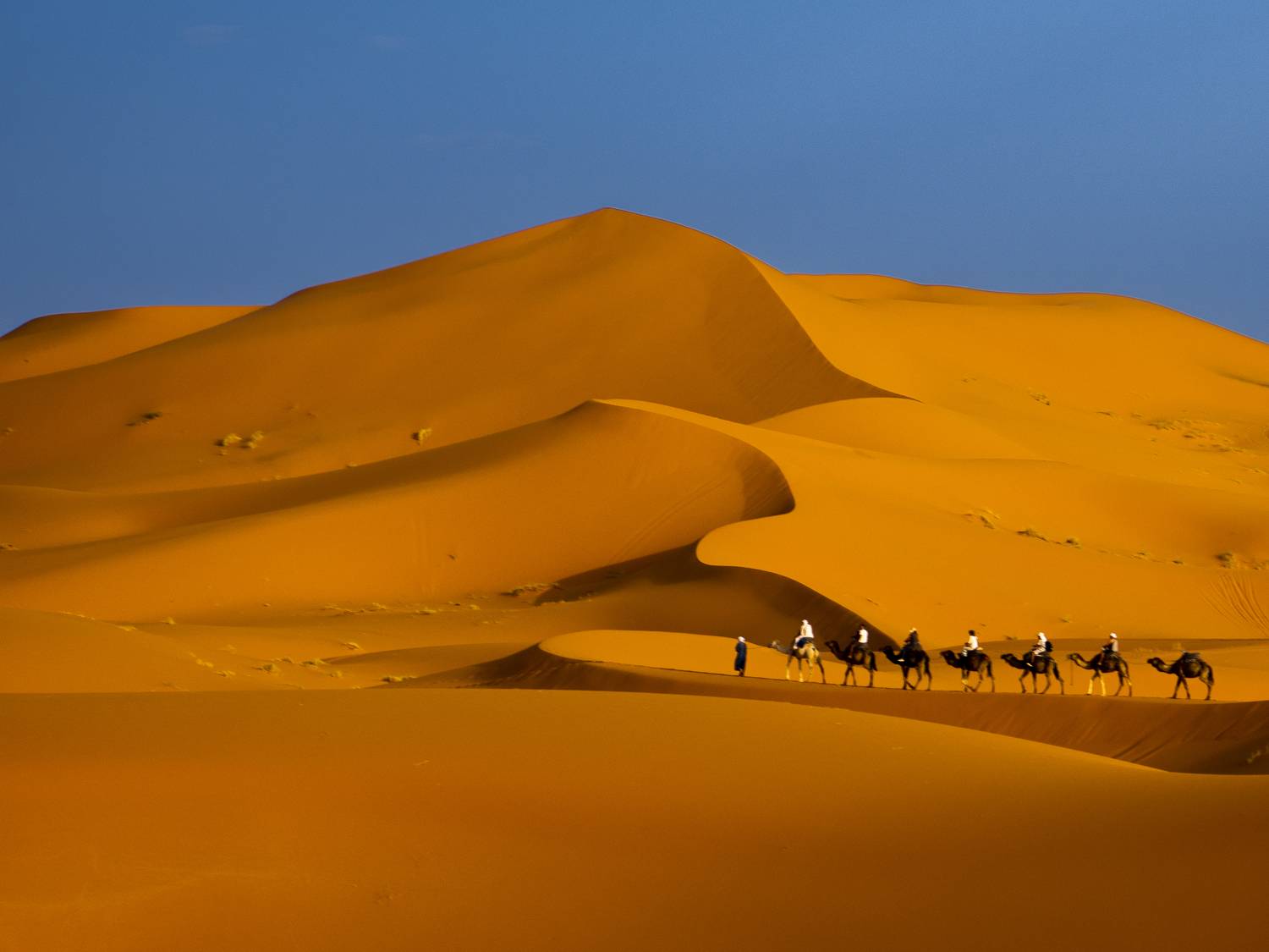 , Сергей Пупонин