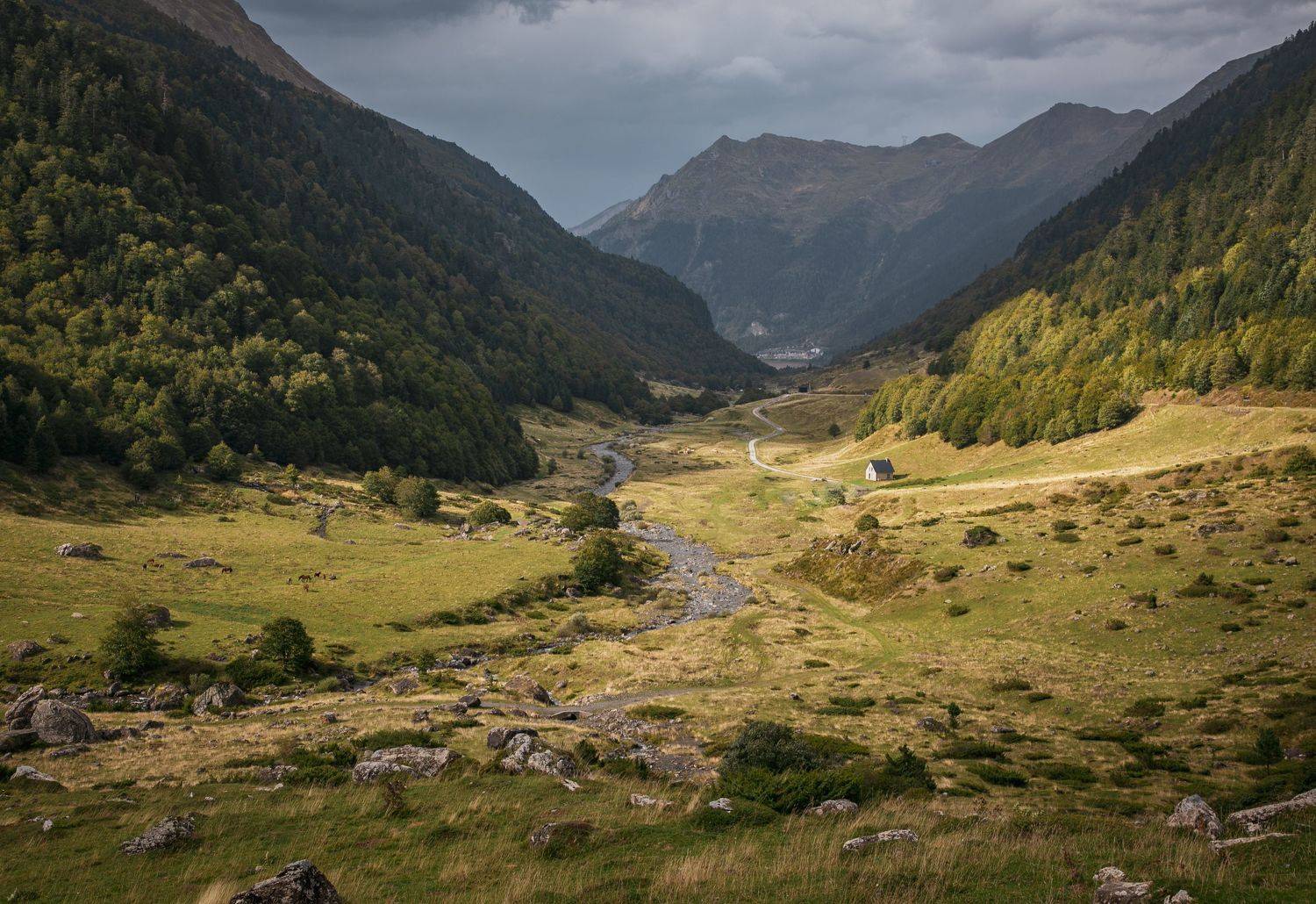 , Алекс Римский