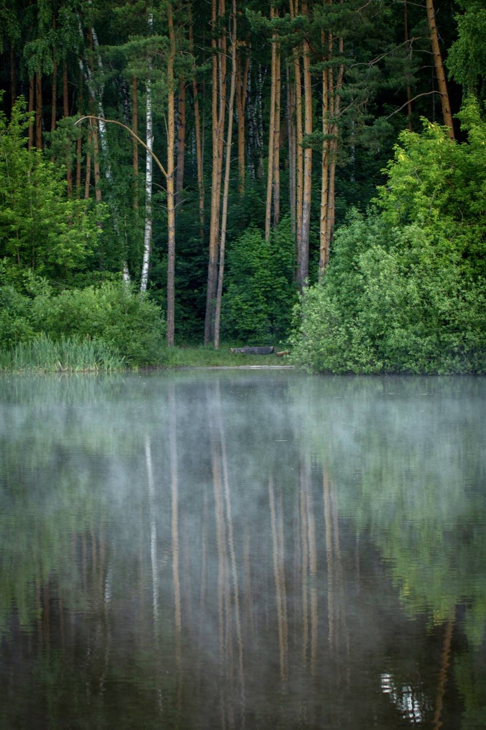 , Сергей Фаренюк