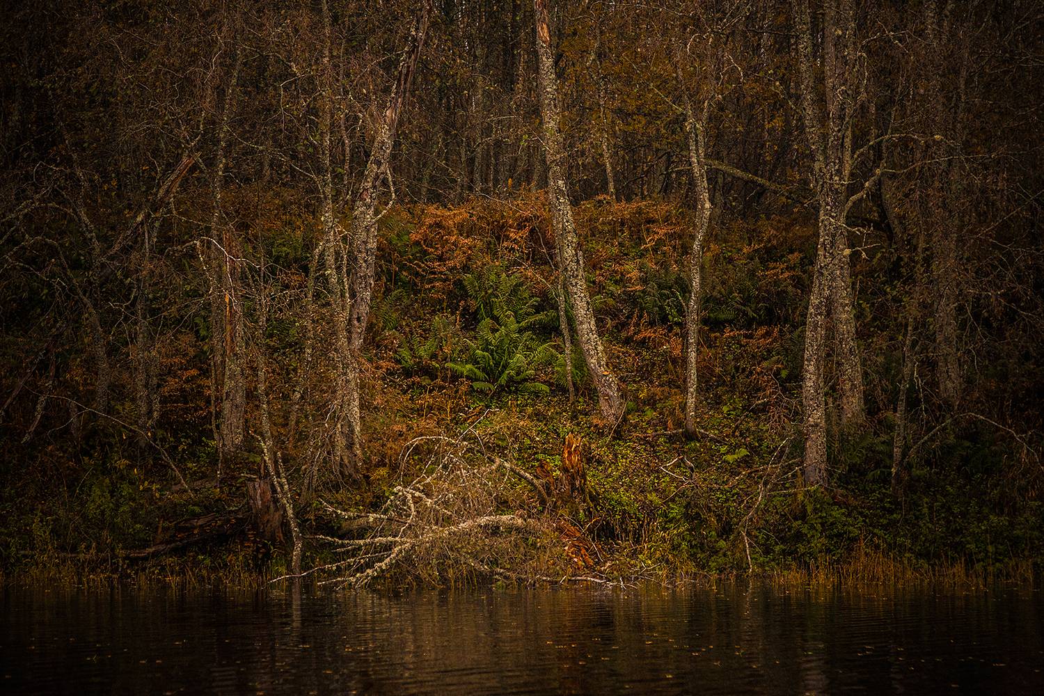 , Напалкин Станислав