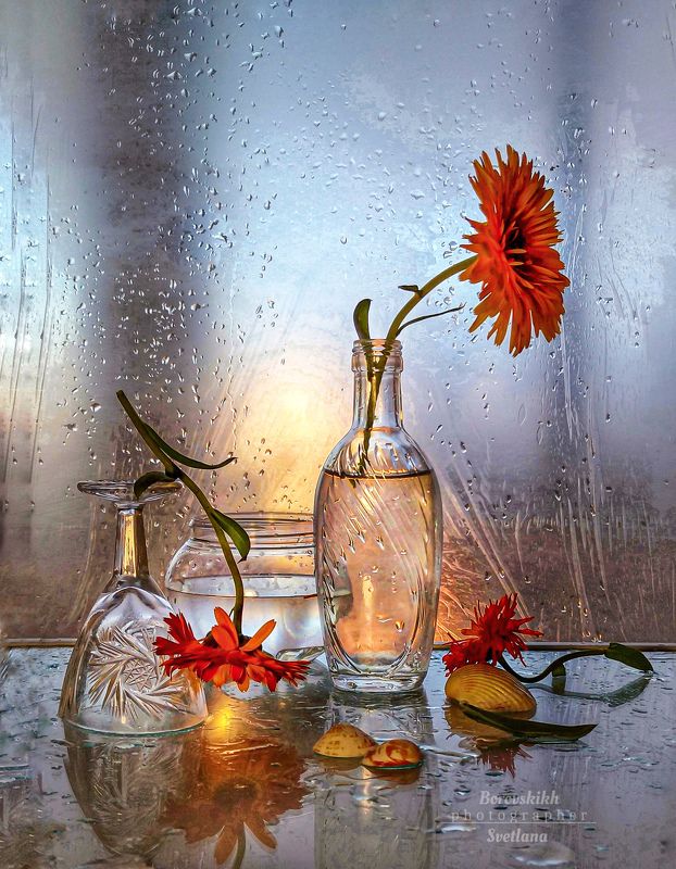 цветы, стекло, плёнка, миниатюра, закат Солнечный луч фото превью