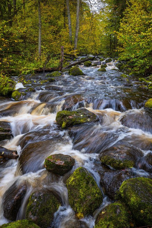 Осенний ручей фото превью