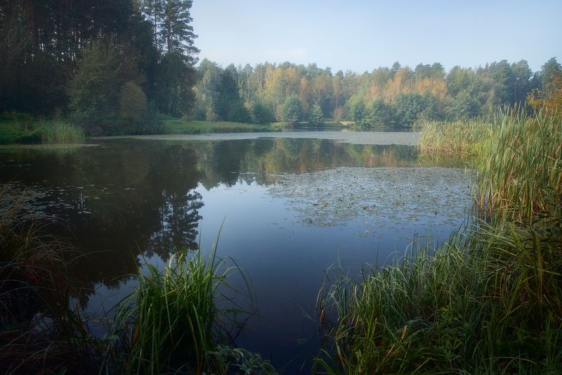 Утро на лесном озере фото превью