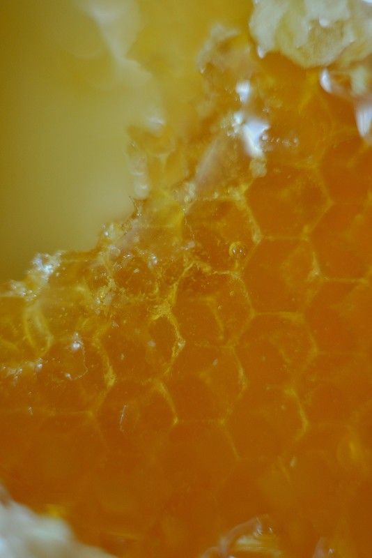 мед, соты, макро, желтый Медовые соты фото превью