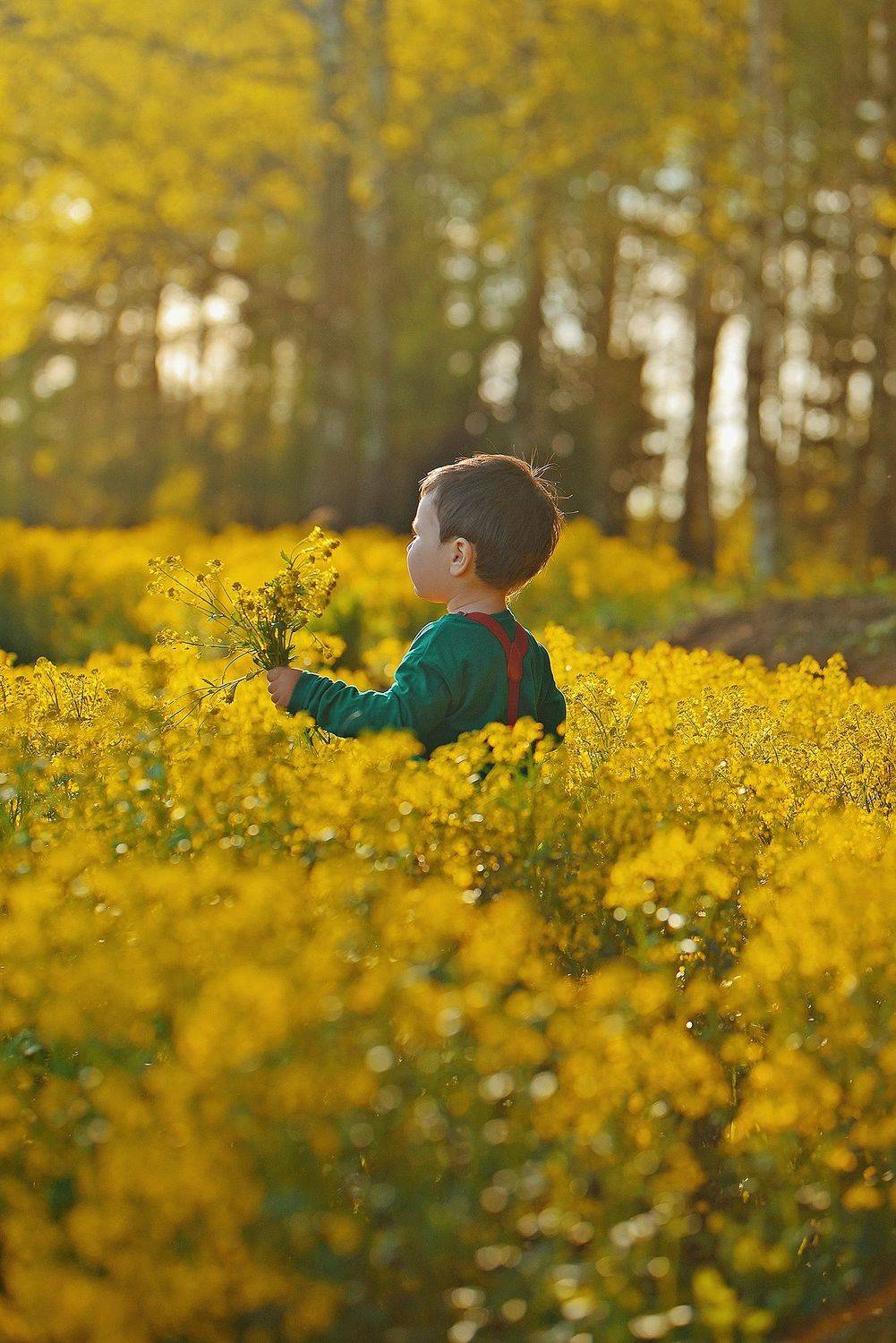поле, цветы, дети, весна, лес, закат, Наталья Новкис