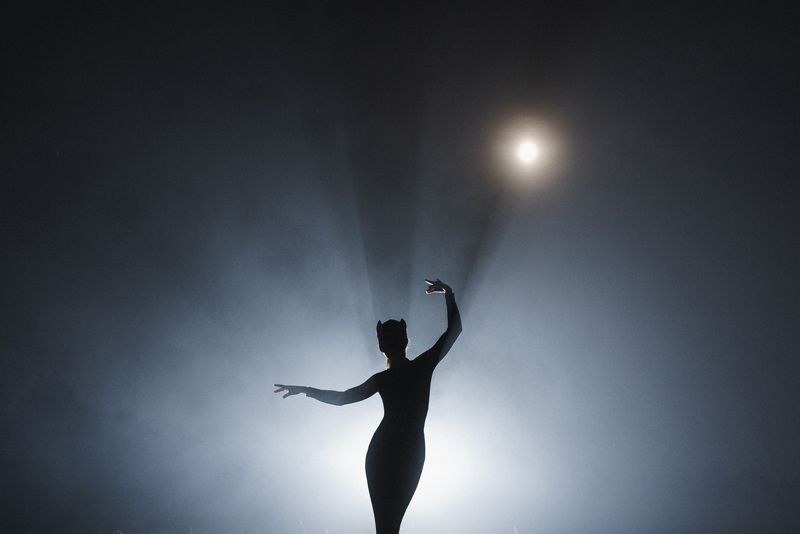 женщина кошка ночь луна лунное гало поле туман Женщина-кошка фото превью