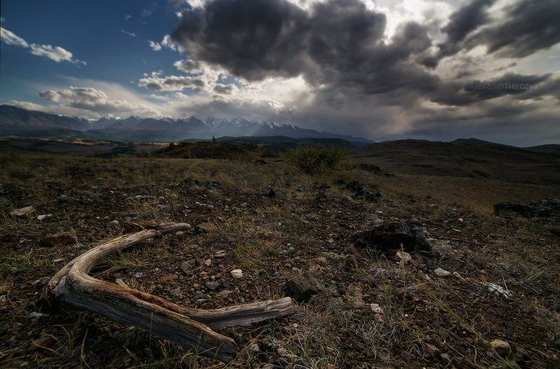 алтай, горы, камни, небо, пейзаж, погода, природа, путешествия, россия, северо-чуйский, сибирь, туризм, тучи Суровый пейзаж фото превью