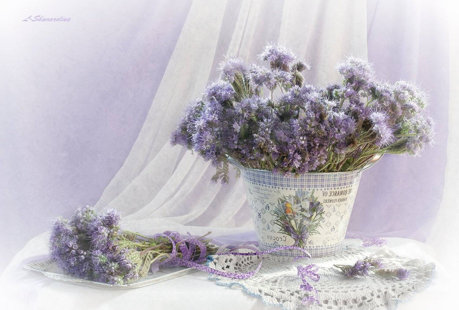 , Елизавета Шавардина