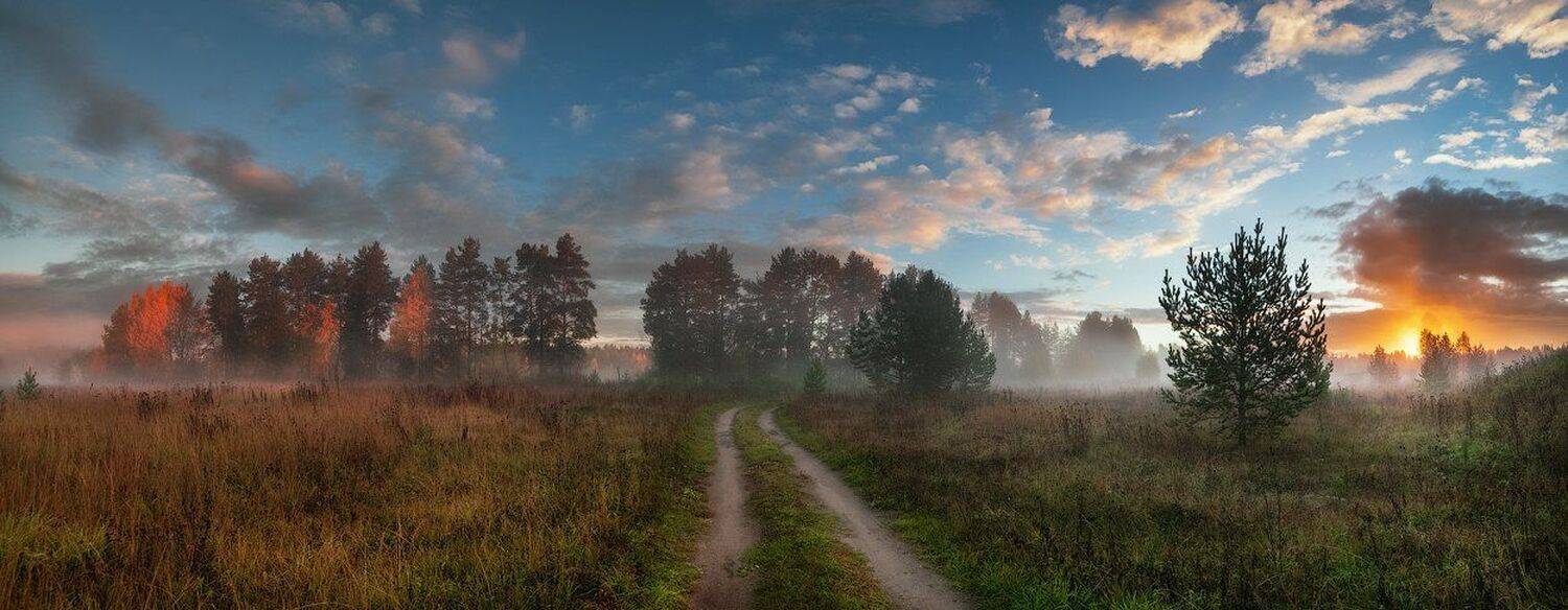 пейзаж,панорама,солнце,свет,оcень,листья,тропинка,самьянг,samyang,тени,небо,дорога,россия,север,тепло,красота, Виталий Истомин