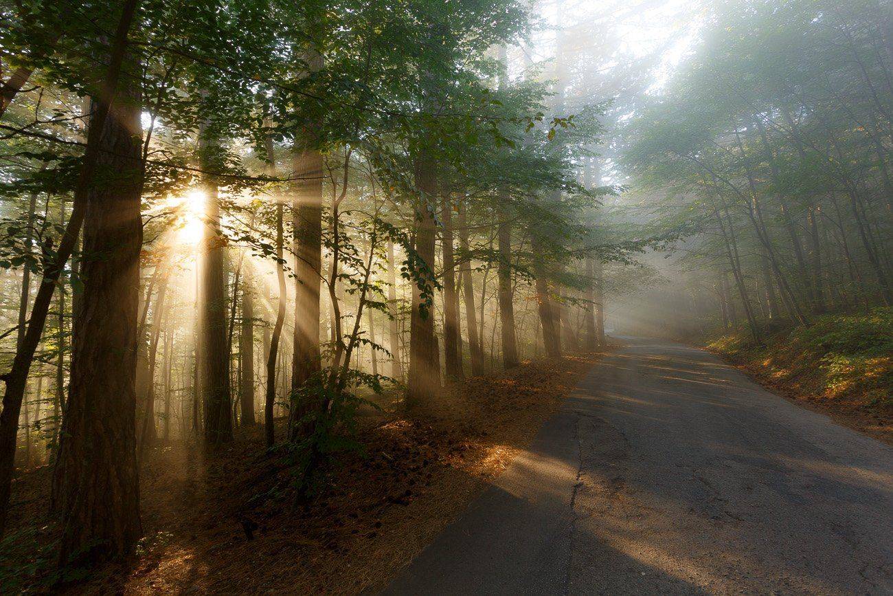 Ай-петри, Asconty