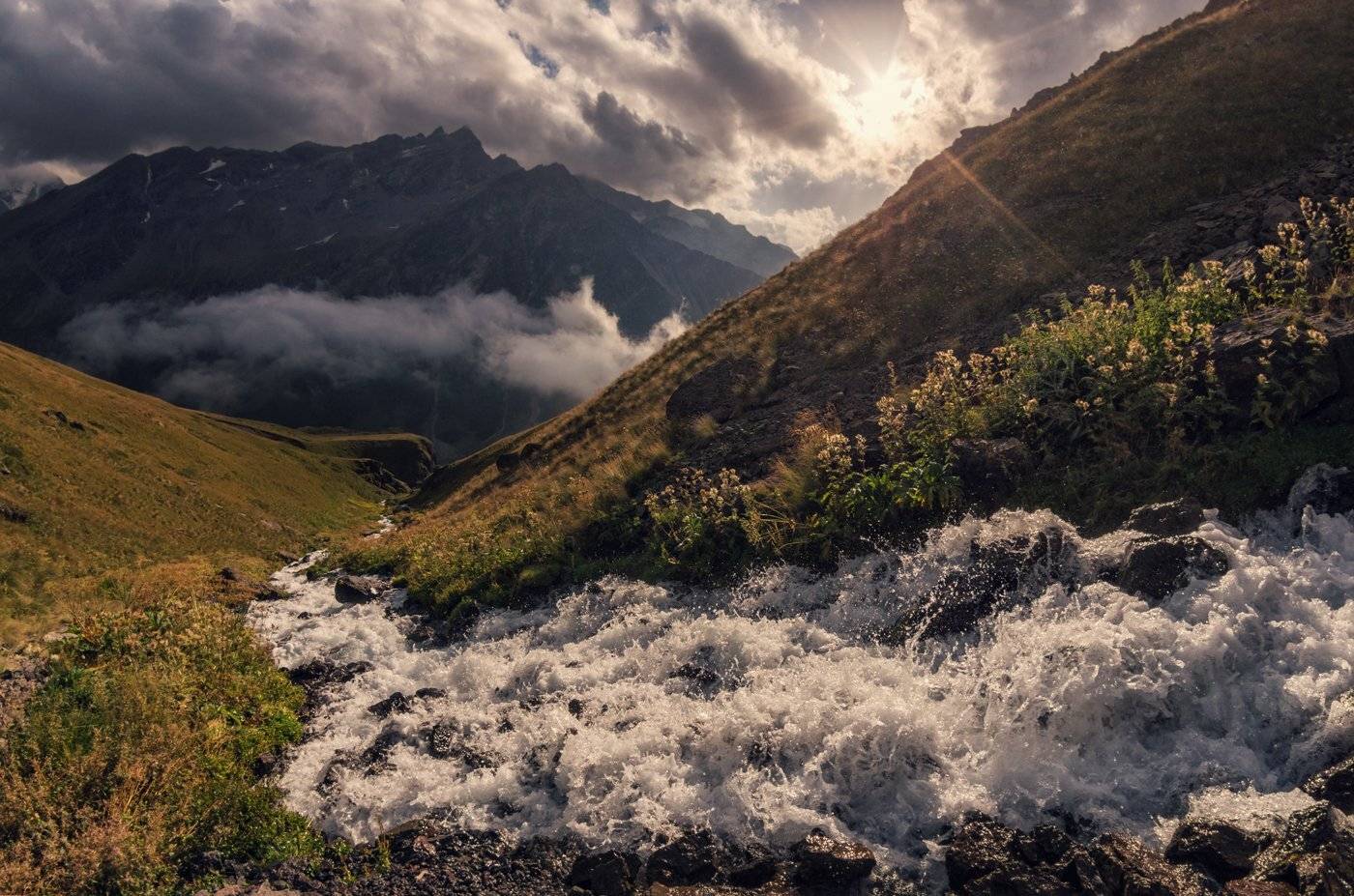 , Игорь Мелекесцев