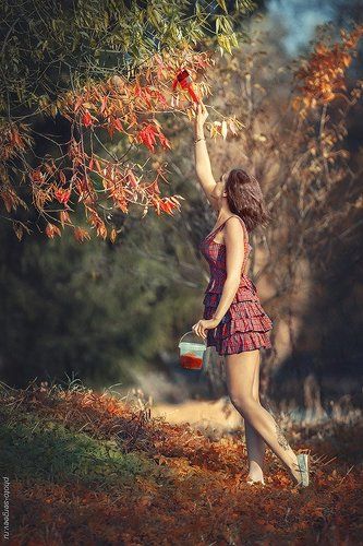 Вот и осень