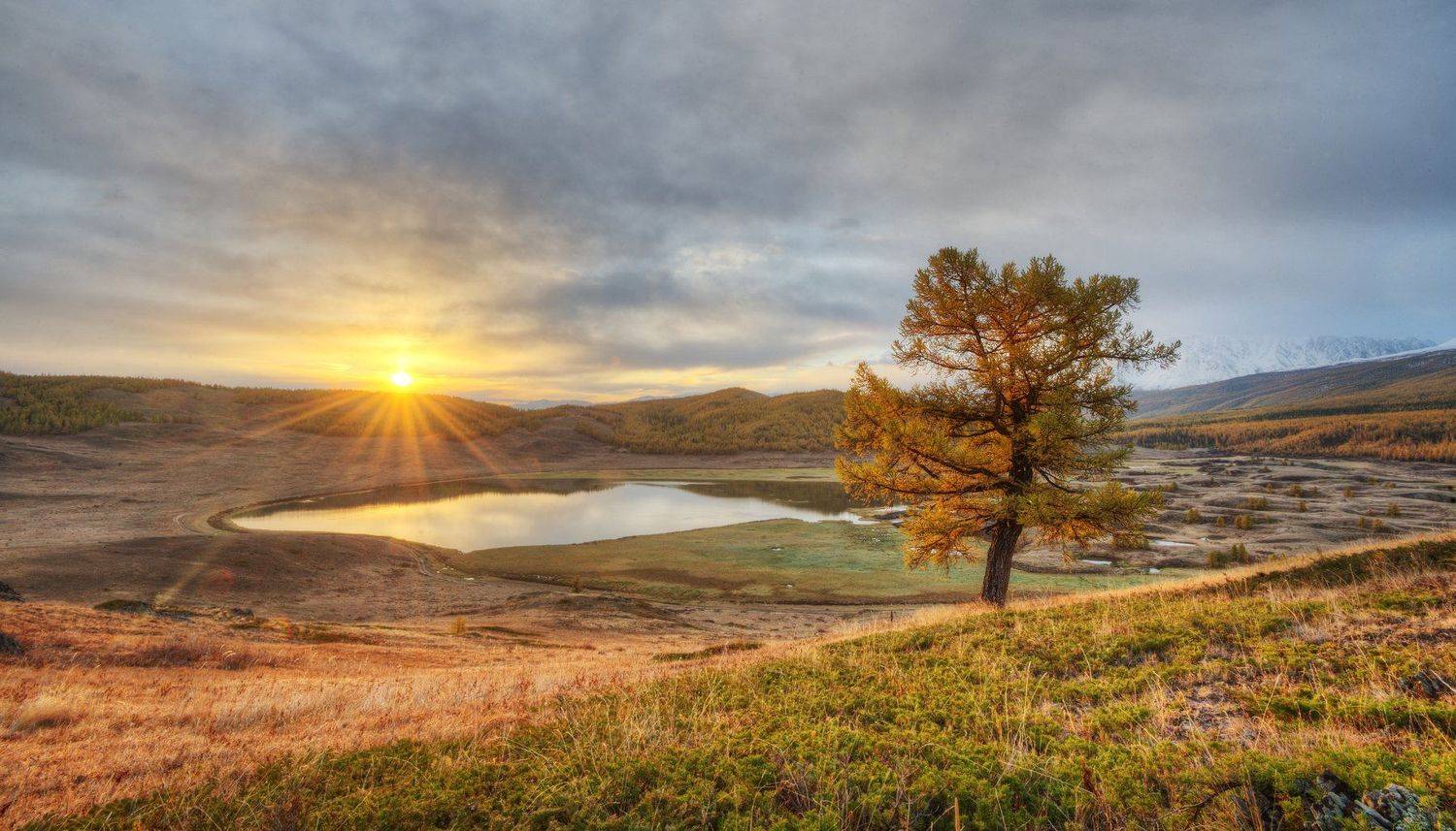 , Бурцев Дмитрий